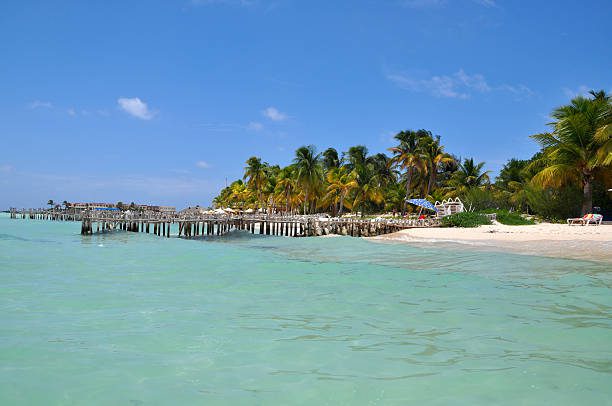 perfect tropical beach in Isla Mujeres, Mexico, Yucatan